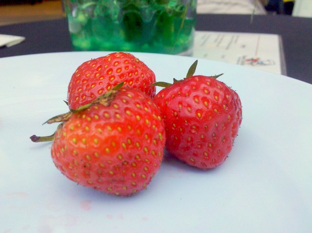 Erdbeerchen
